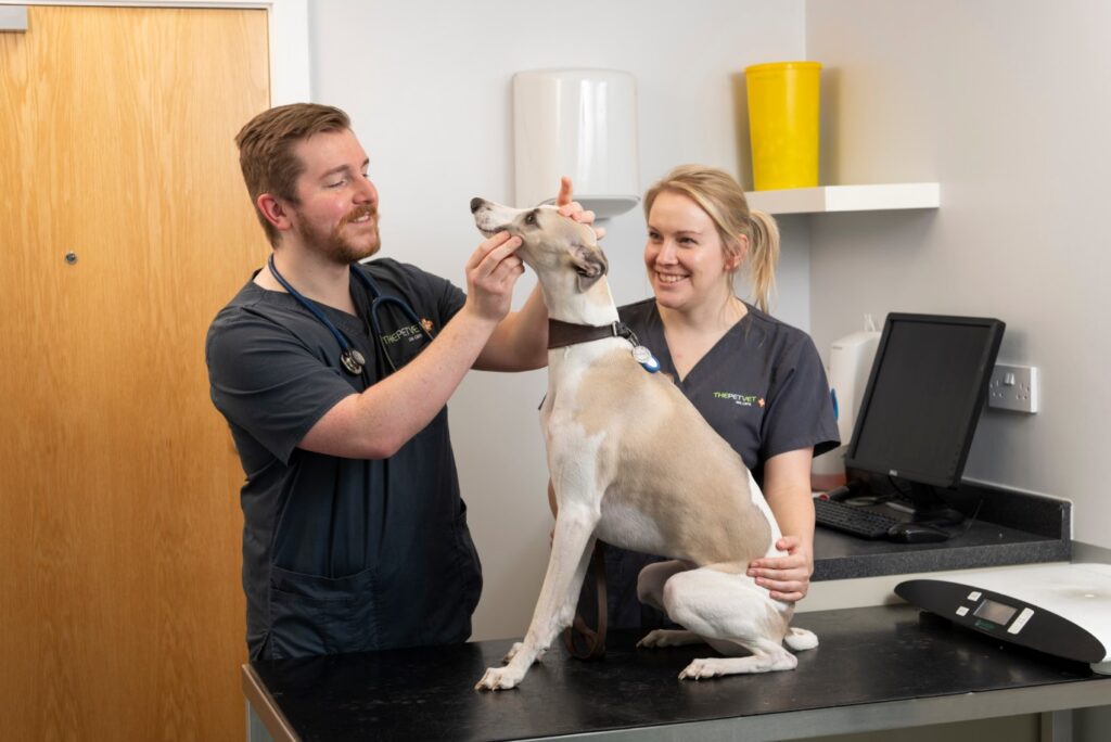 The Pet Vet Rotherham
